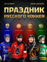 Чемпионат России по хоккею с мячом. Матч за золотую медаль ХК "СКА-Нефтяник"-ХК "Динамо"