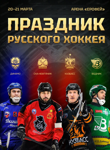 Чемпионат России по хоккею с мячом. Матч за золотую медаль ХК "СКА-Нефтяник"-ХК "Динамо"