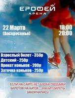 Катание на коньках в Арене "Ерофей"
