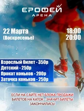 Катание на коньках в Арене "Ерофей"