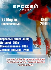 Катание на коньках в Арене "Ерофей"