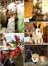 Пасха на мини-ферме