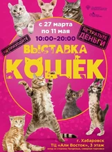 Выставка кошек