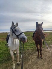 Конная прогулка по живописным местам