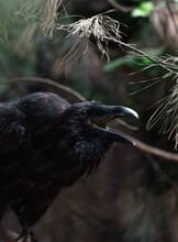 Обзорные экскурсии по "Лабиринтам Подземья"