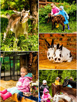 Экскурсии для школьных групп на мини-ферму