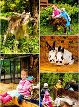 Экскурсии для школьных групп на мини-ферму