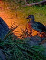 Обзорные экскурсии по "Лабиринтам Подземья"