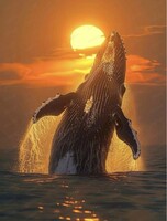 Арт-вечер "Кит на закате"