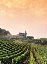 Дегустация "Винные регионы Франции"