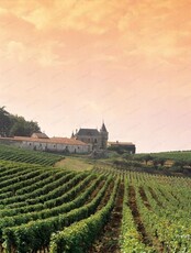 Дегустация "Винные регионы Франции"