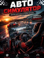 Игры на автосимуляторе