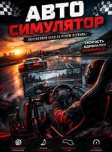 Игры на автосимуляторе