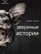 Проект "Свободная сцена". Спектакль "Звериные истории"