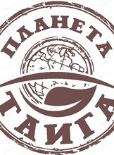 Экскурсия на лесопромышленный комбинат