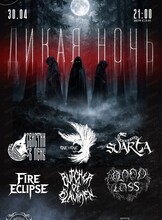 Фестиваль "Дикая ночь"