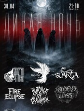 Фестиваль "Дикая ночь"