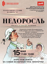Спектакль "Недоросль"