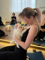 Йога со щенками