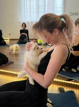 Йога со щенками