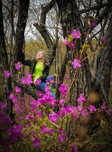 Поход на Воронеж (цветение рододендрона)