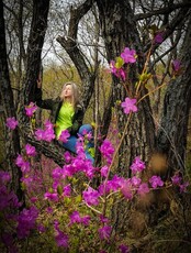 Поход на Воронеж (цветение рододендрона)