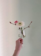 Дегустация "Ароматный мир вина"