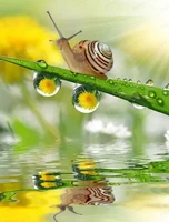 Путешествие в мир вкуса: экскурсия с дегустацией на эко-ферме с улитками