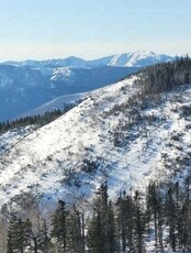 Поход на скалу Ноя