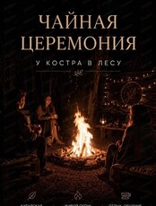 Выездная чайная церемония в лесу