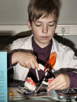 Интерактивная медицинская программа "Стоматология"