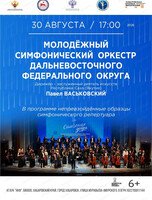 Молодежный симфонический оркестр ДФО