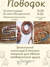 Мастер-класс "Поводок для твоего питомца"