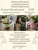 Зеленая встреча