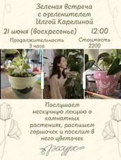 Зеленая встреча