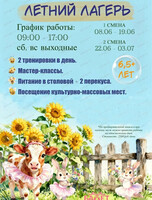Летний лагерь в школе танца
