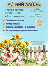 Летний лагерь в школе танца