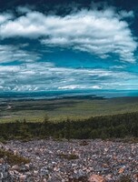 Принятие заявок на участие в краевом экологическом фотоконкурсе "Край родной, навек любимый!"