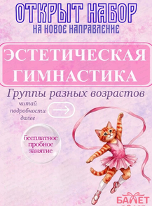 Эстетическая гимнастика (возраст 2-3 года)
