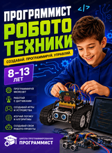 Программист робототехники. Образовательная программа для детей 8-13 лет