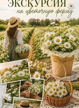 Экскурсия на цветочную ферму