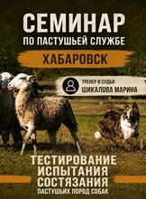 Семинар по пастушьей службе