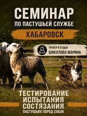 Семинар по пастушьей службе