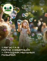 Праздник мыльных пузырей