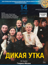 Международный фестиваль кино и театра "Амурская осень". Спектакль "Дикая утка"