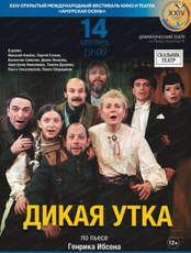 Международный фестиваль кино и театра "Амурская осень". Спектакль "Дикая утка"