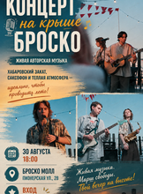 Концерт на крыше Броско