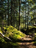 Закат и рассвет на горе Маглой
