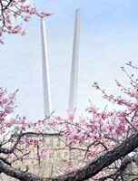 Выставка "Порт приписки Владивосток. Навигация 2025"
