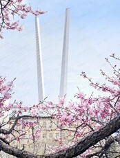 Выставка "Порт приписки Владивосток. Навигация 2025"
